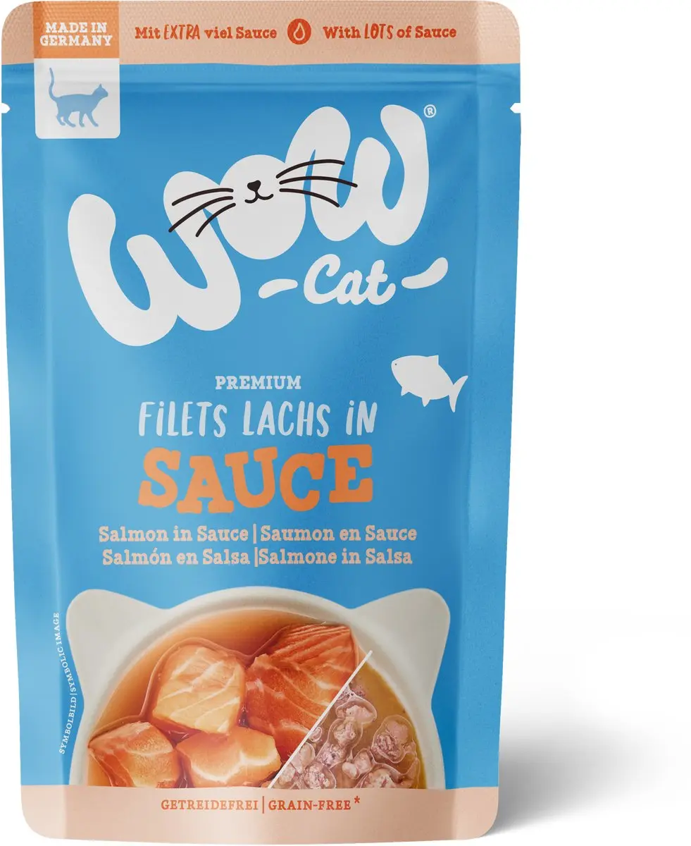 WOW CAT