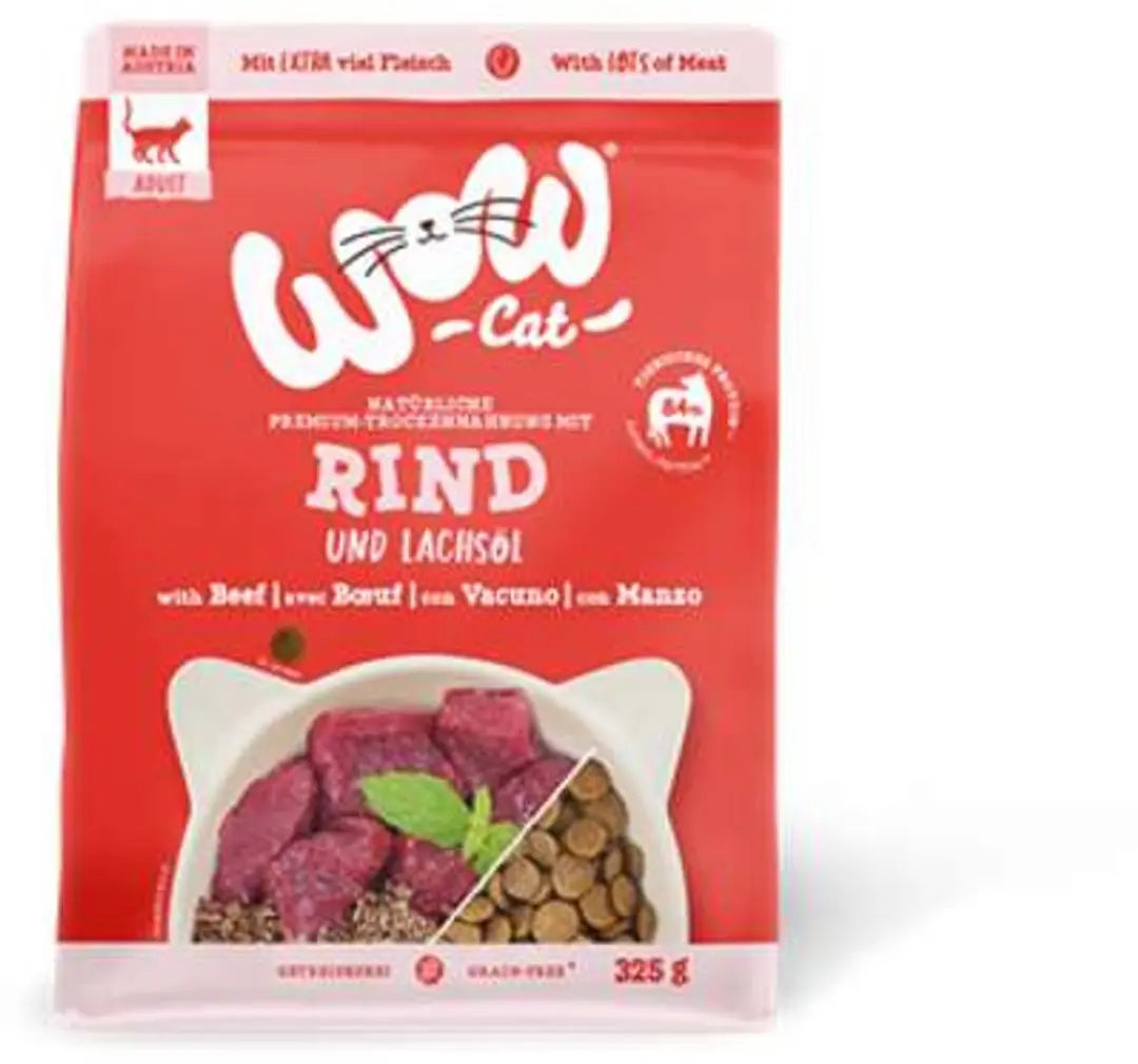 WOW Cat