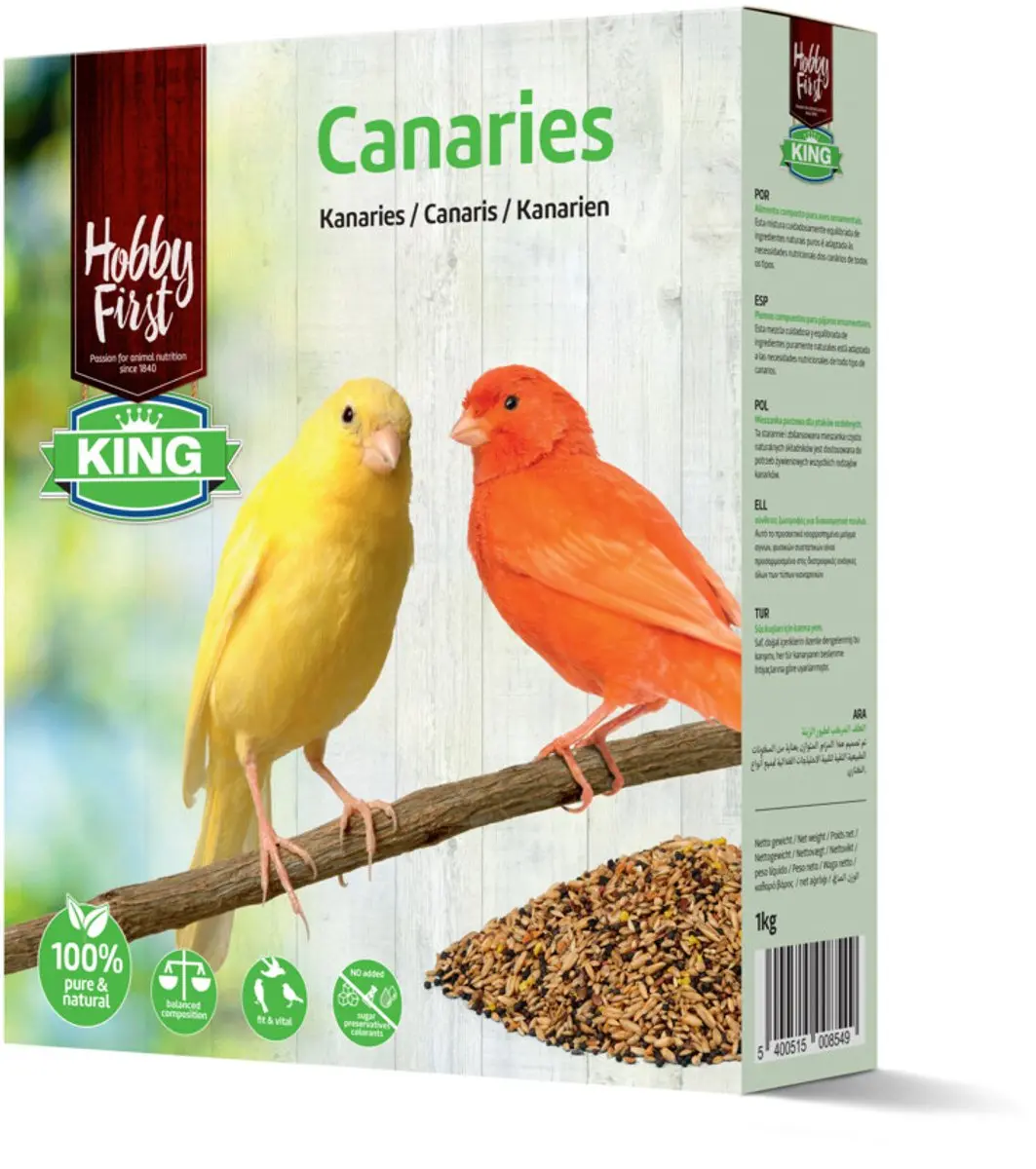 HobbyFirst King Kanarie