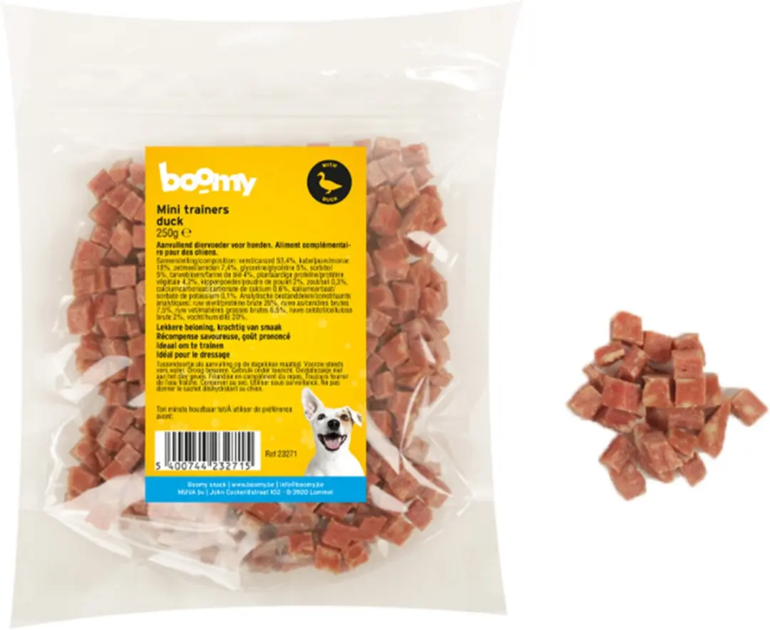 Boomy Mini Trainers