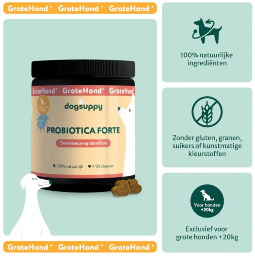 DogSuppy Probiotica Forte Grote Hond - 90 snoepjes - afbeelding 2 van 6
