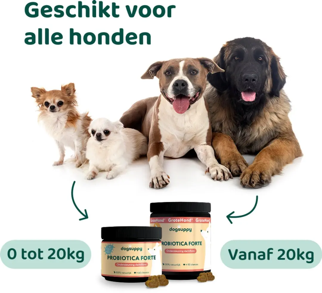 DogSuppy Probiotica Forte Hondensnoepjes - 60 stuks - afbeelding 4 van 6