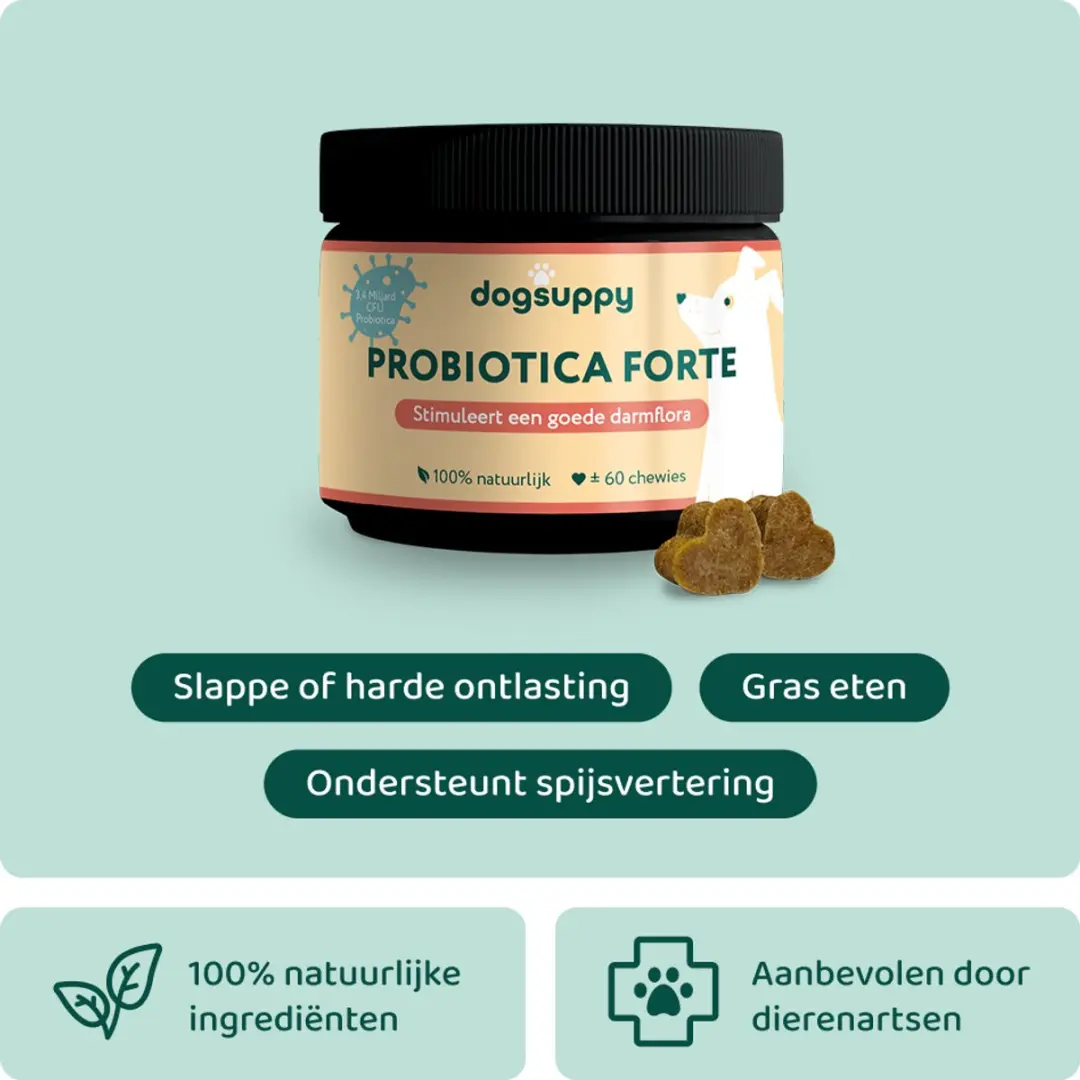 DogSuppy Probiotica Forte Hondensnoepjes - 60 stuks - afbeelding 2 van 6