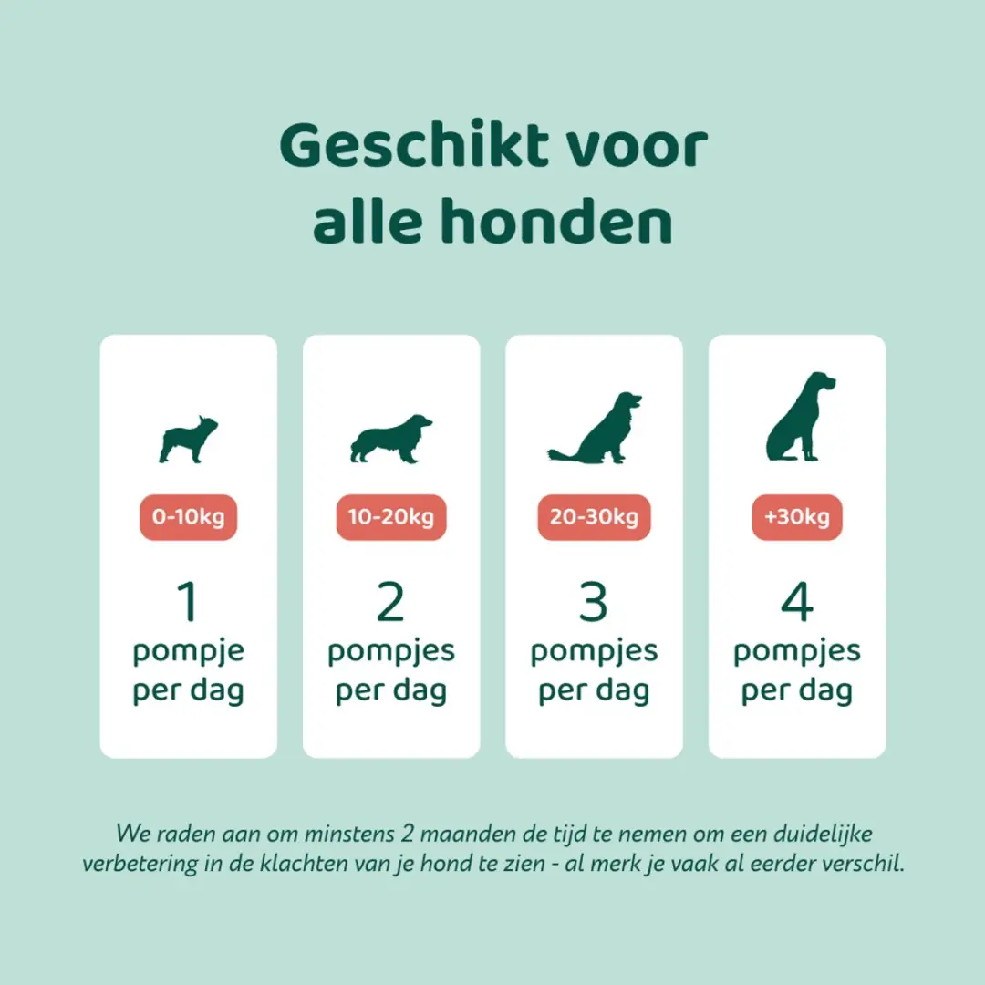 DogSuppy Hennepzaadolie Hond 250ml - afbeelding 4 van 6