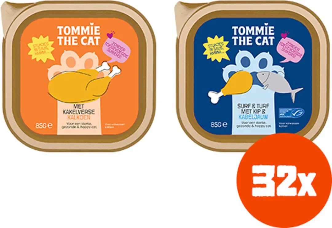 Tommie the Cat