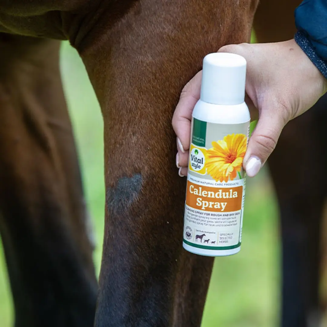 VITALstyle Calendulaspray Hond & Kat 100ml - afbeelding 4 van 4