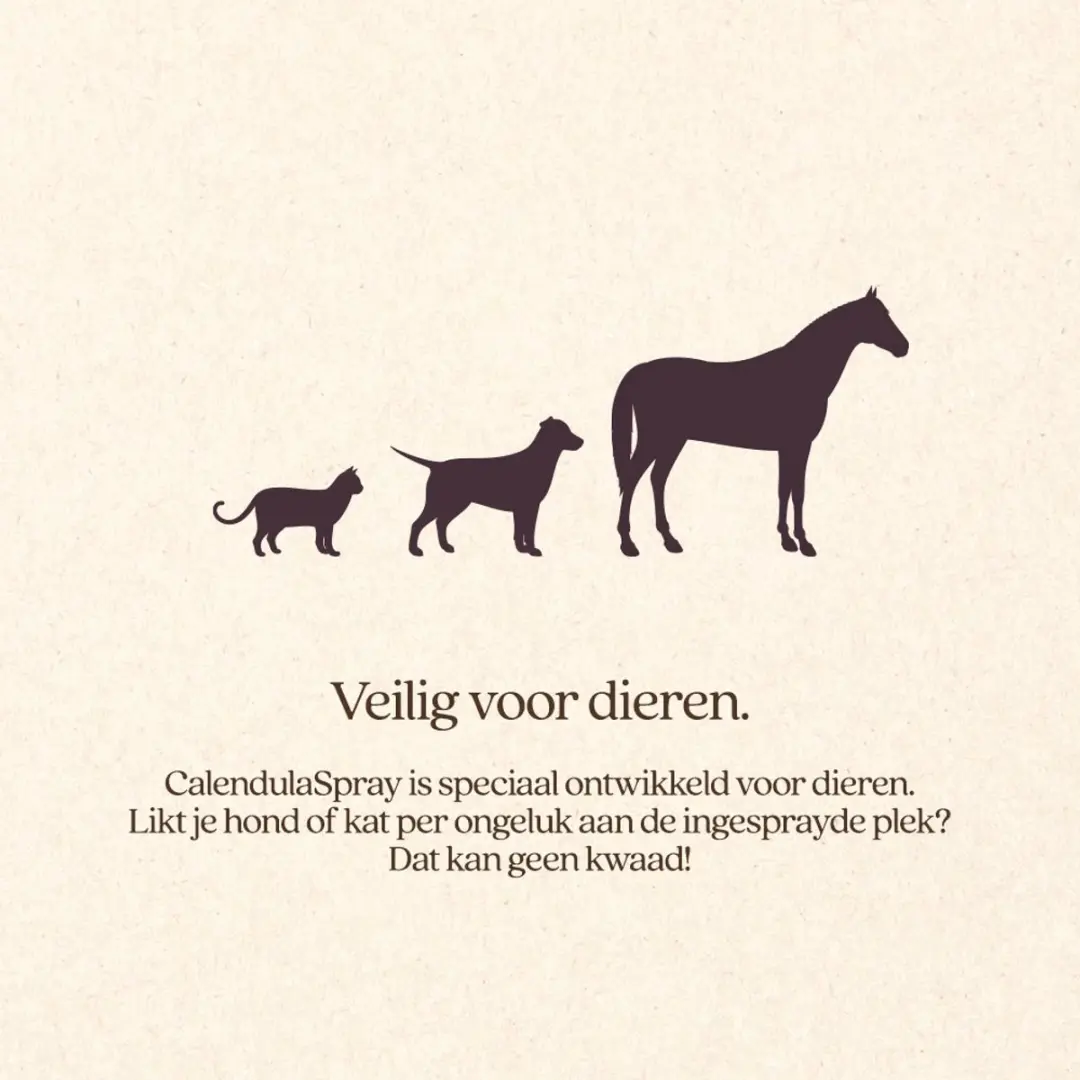 VITALstyle Calendulaspray Hond & Kat 100ml - afbeelding 2 van 4