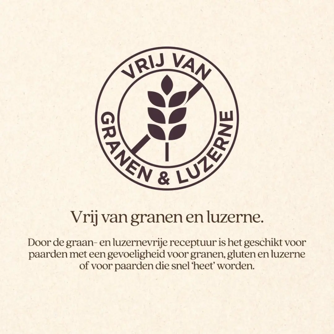 VITALstyle Slueslimix Paardenvoer - 6 kg - afbeelding 3 van 4