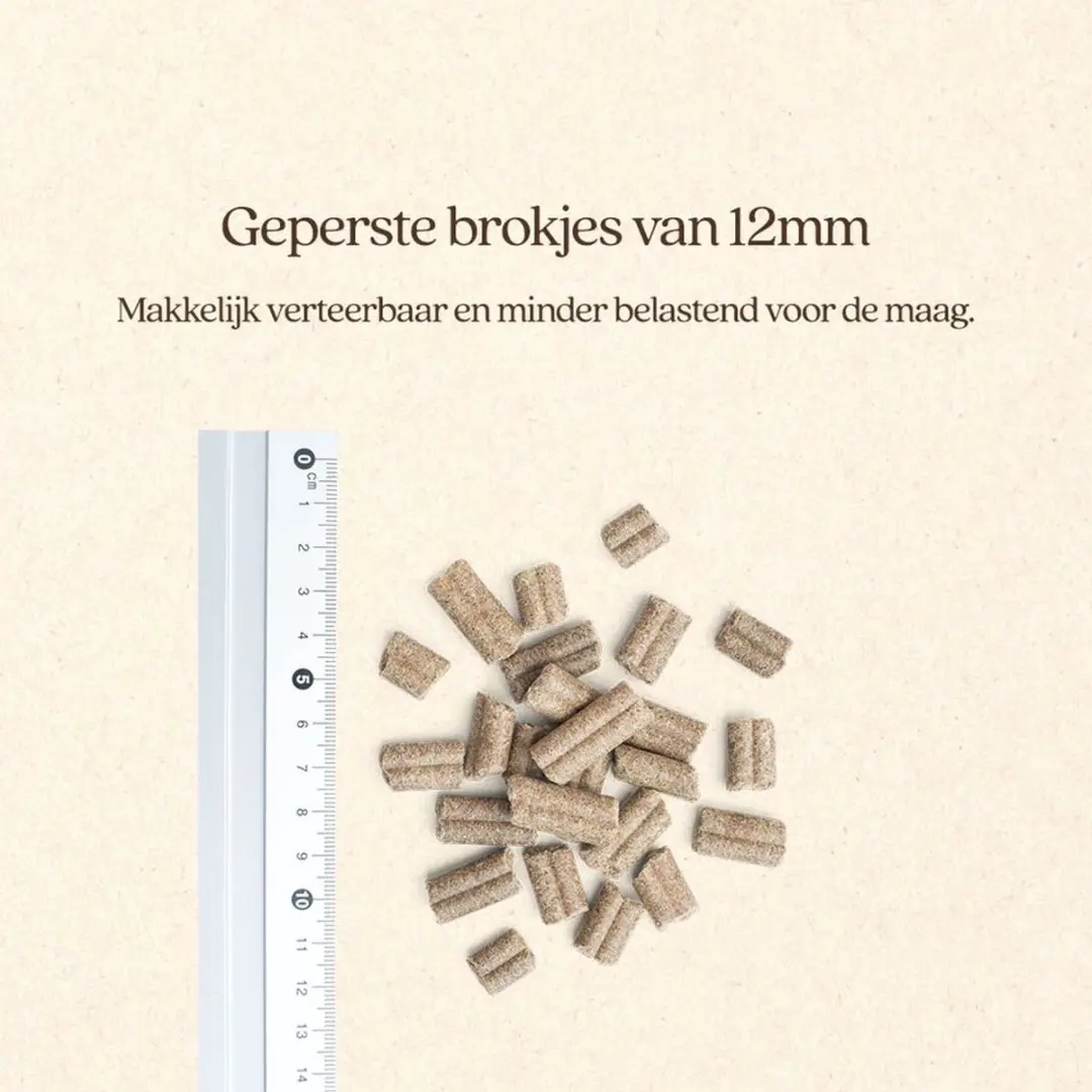 VITALstyle Maag & Darmen Hondenbrokken 3 kg - afbeelding 5 van 6