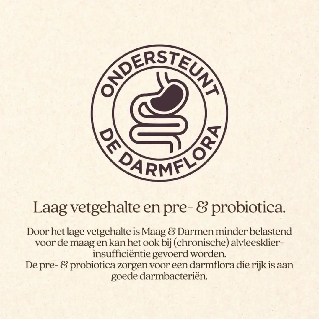 VITALstyle Maag & Darmen Hondenbrokken 3 kg - afbeelding 4 van 6