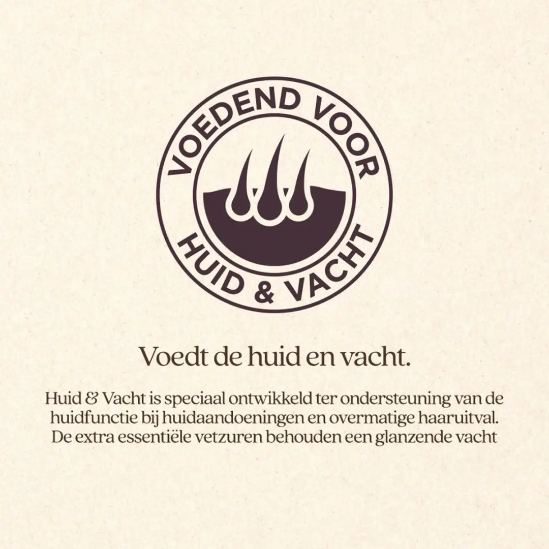 VITALstyle Huid & Vacht Hondenvoer - 12 kg - afbeelding 4 van 6