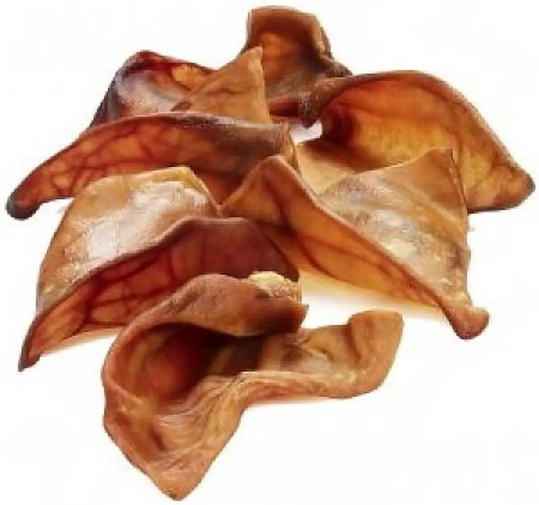Varkensoren
