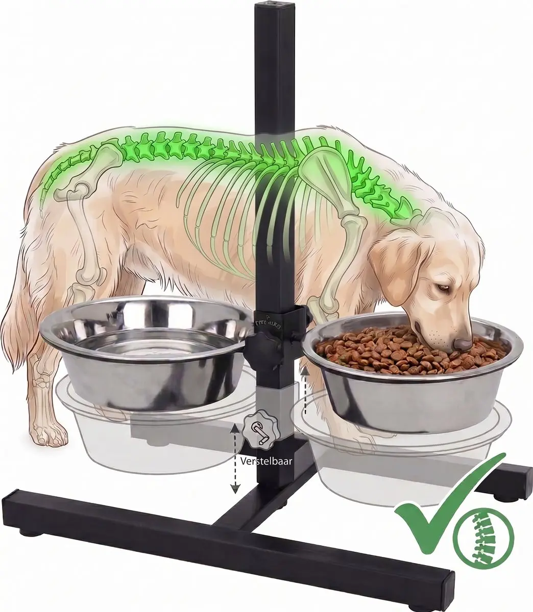 Verhoogde Voerbak en Drinkbak Hond