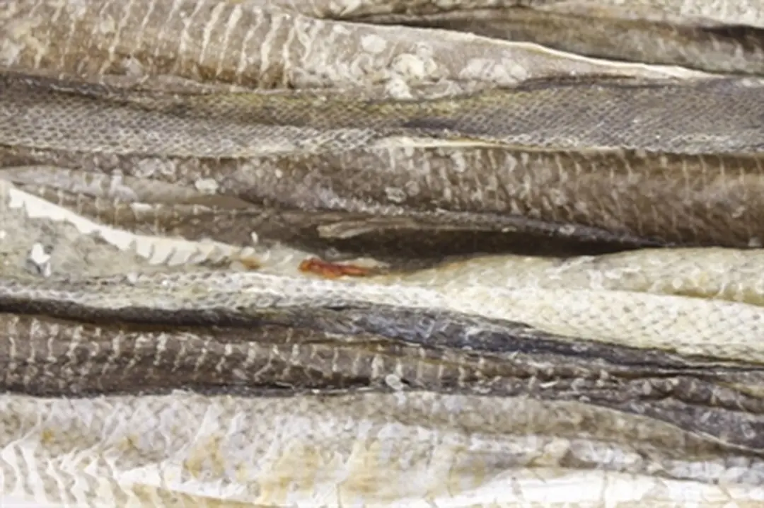 Sn'urk Kabeljauwhuid Hondensnack - 75g - afbeelding 4 van 5