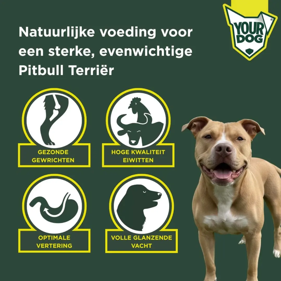 Yourdog Amerikaanse Pitbull Terriër Hondenbrokken Volwassen 12 kg - afbeelding 3 van 4