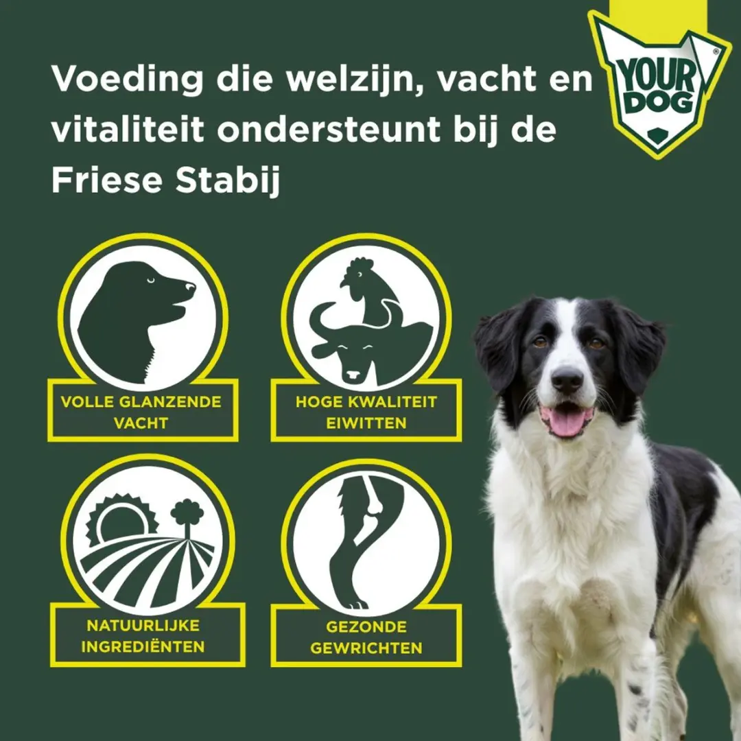 Yourdog Friese Stabij Volwassen Hondenbrokken - 12kg - afbeelding 2 van 4