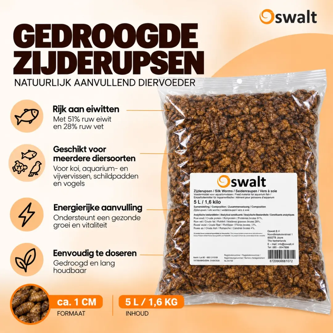 Oswalt Zijderupsen- Gedroogd