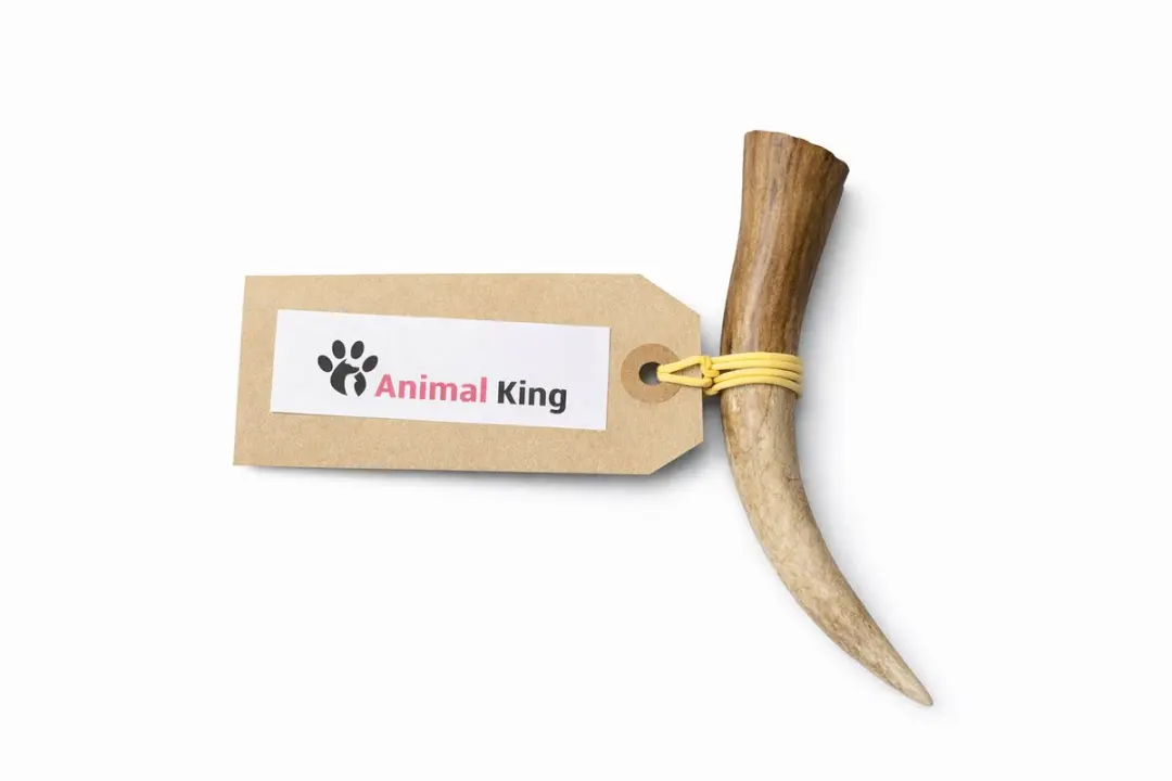 Hertengewei voor Hond 80-120 Gram