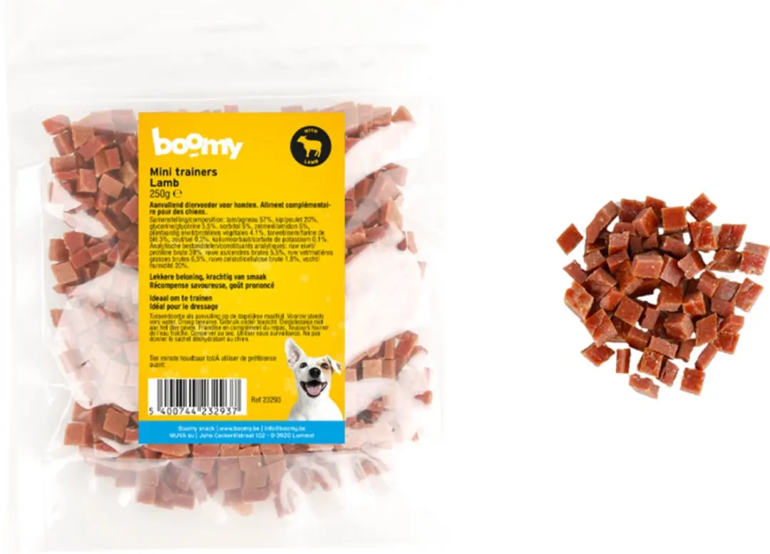 Boomy Mini Trainers