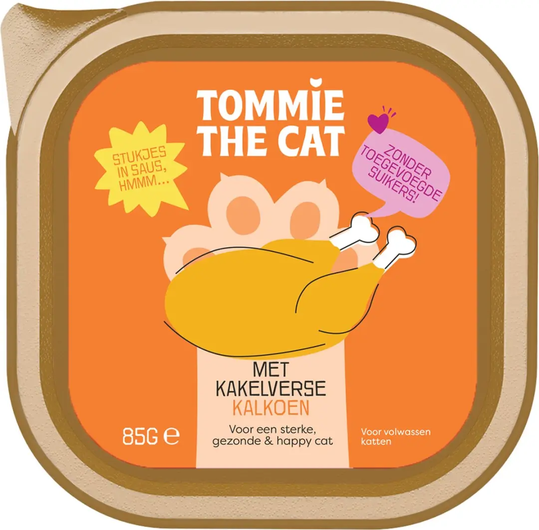 Tommie the Cat
