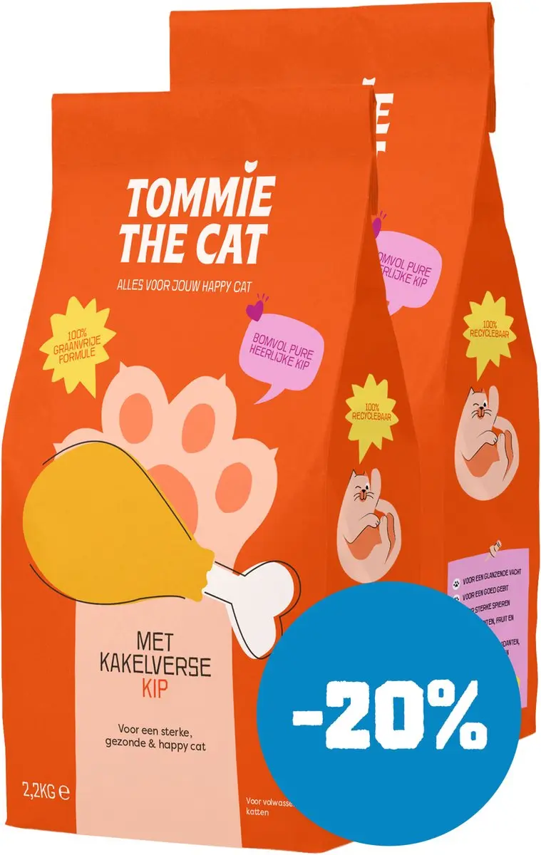 Tommie the Cat