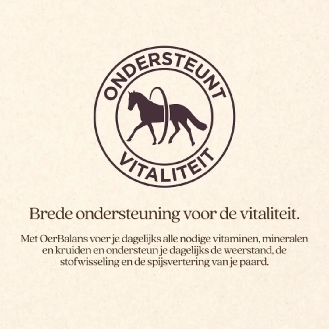 VITALstyle Oerbalans Paarden Supplement Brok - 4 kg - afbeelding 2 van 6