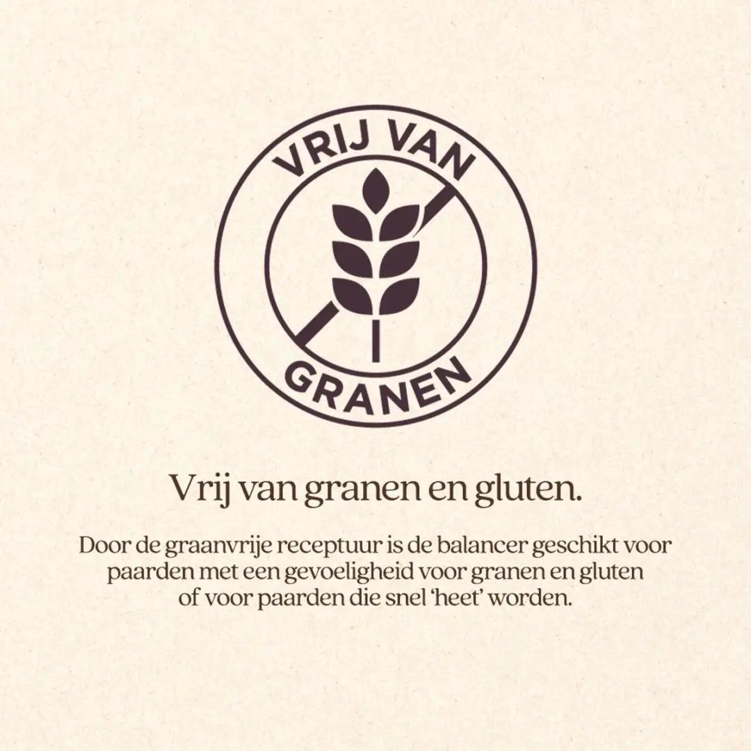VITALstyle DailyFit Balancer Paardenvoer - 10 kg - afbeelding 2 van 3