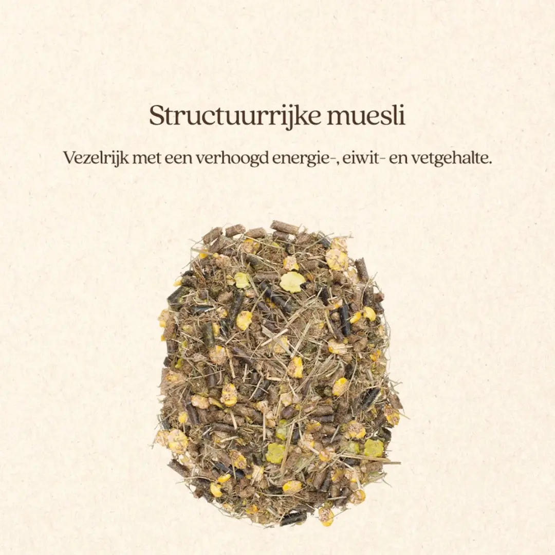 VITALstyle Muesli Young & Breed - Paardenvoer - 15 kg - afbeelding 4 van 6