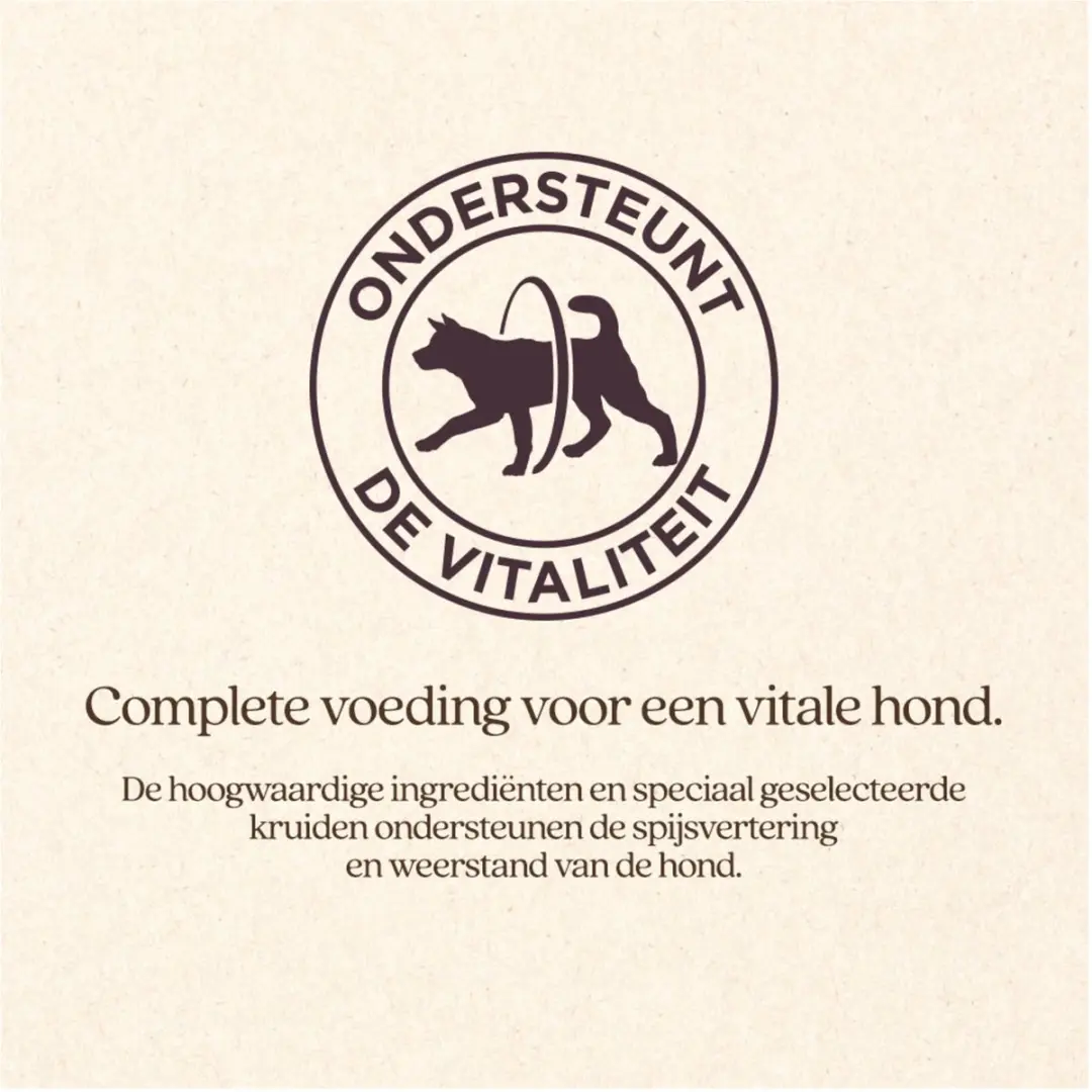 VITALstyle Adult Original Hondenvoer 12kg - afbeelding 3 van 6