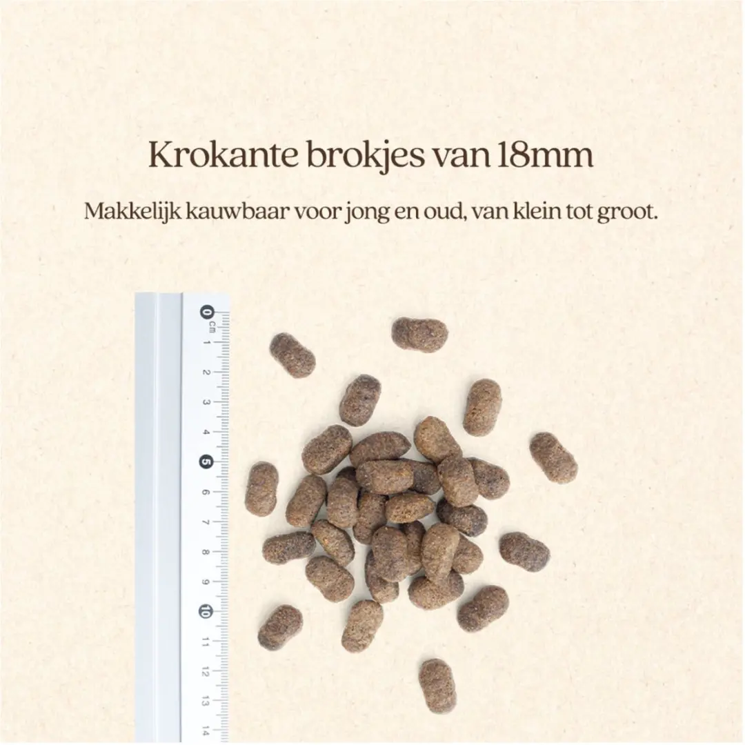 VITALstyle Adult Original Hondenvoer 12kg - afbeelding 5 van 6
