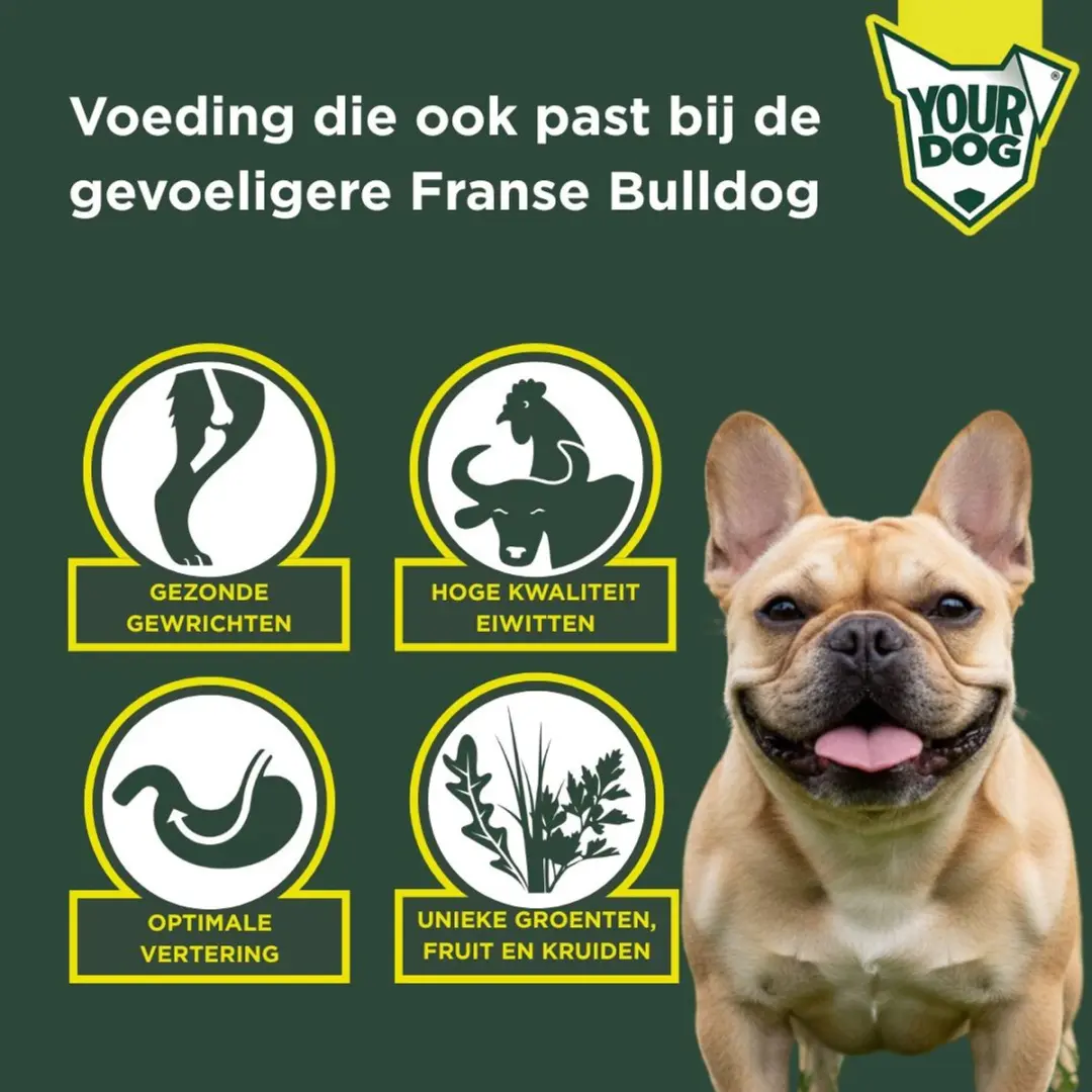 Yourdog Franse Bulldog Senior Hondenbrokken - 12 kg - afbeelding 2 van 4