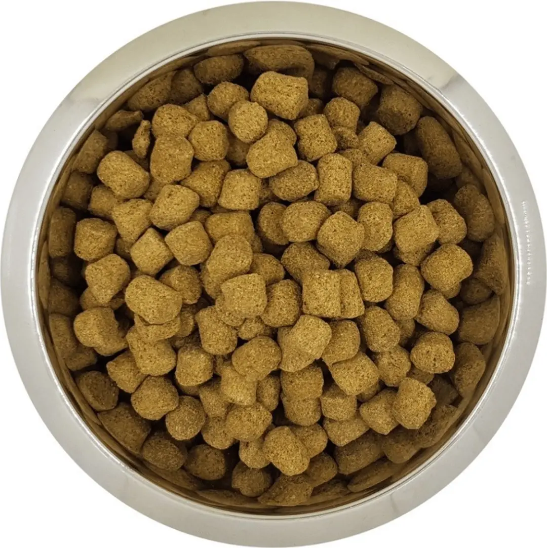 Yourdog Koningspoedel Hondenbrokken Volwassen