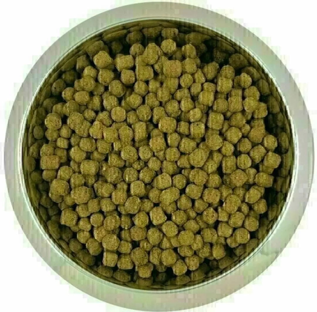 Yourdog Dwerg- of Toypoedel Senior Hondenbrokken - 12 kg - afbeelding 2 van 4