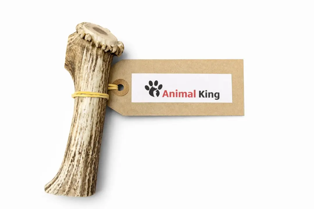 Hertengewei voor Hond 200-300 Gram