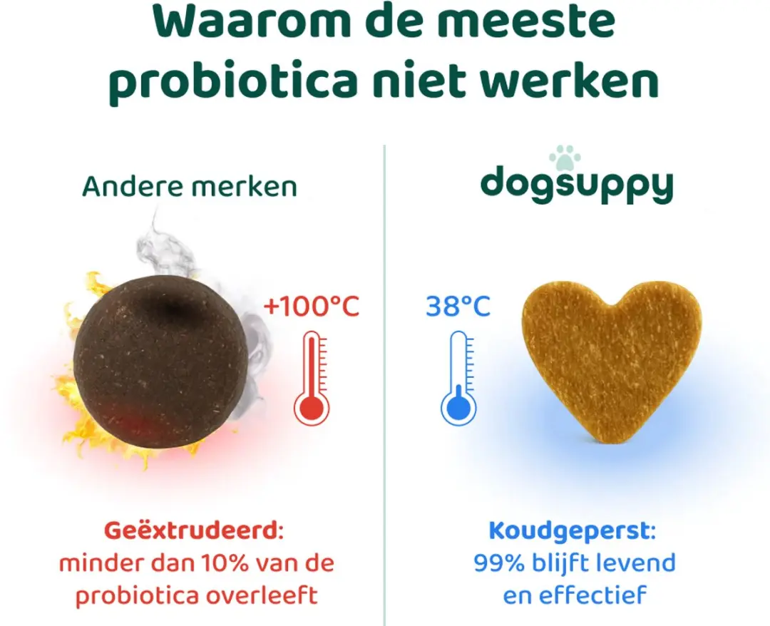DogSuppy Probiotica Forte Kip - 60 snoepjes - afbeelding 5 van 6