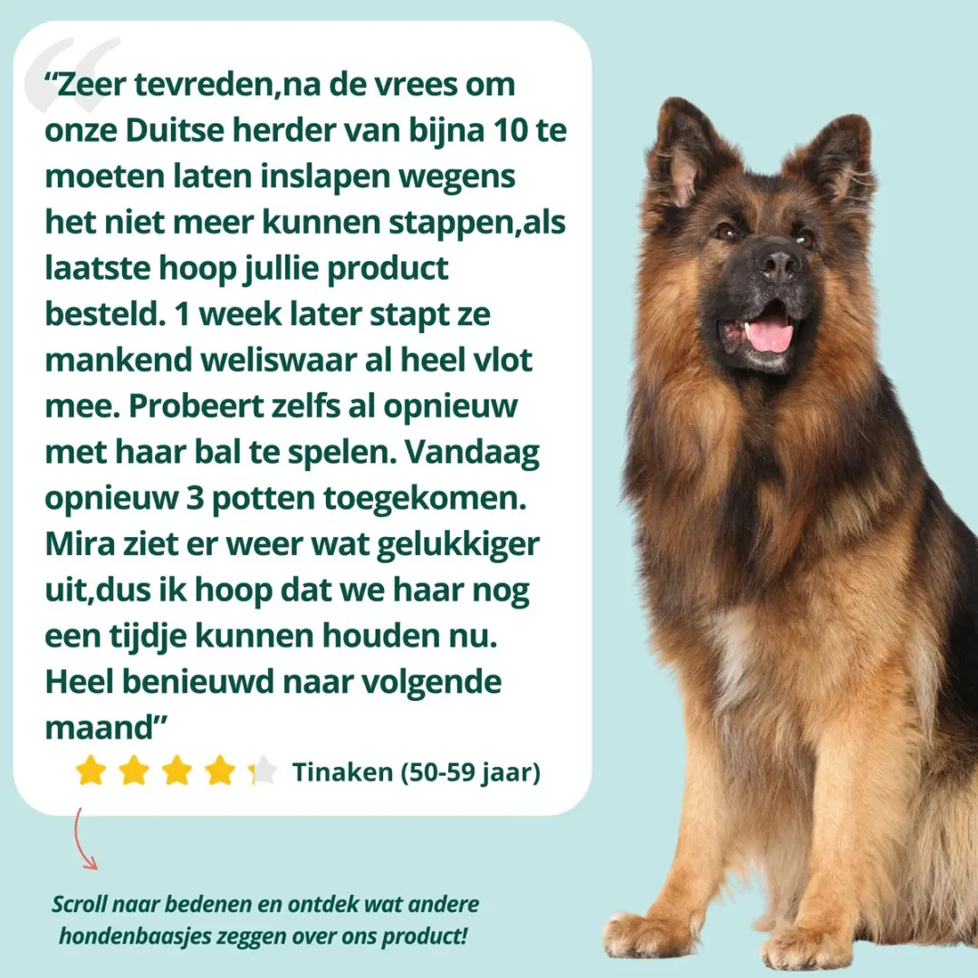 DogSuppy Heup & Gewrichten Snoepjes - 180g - 60 stuks - afbeelding 4 van 6