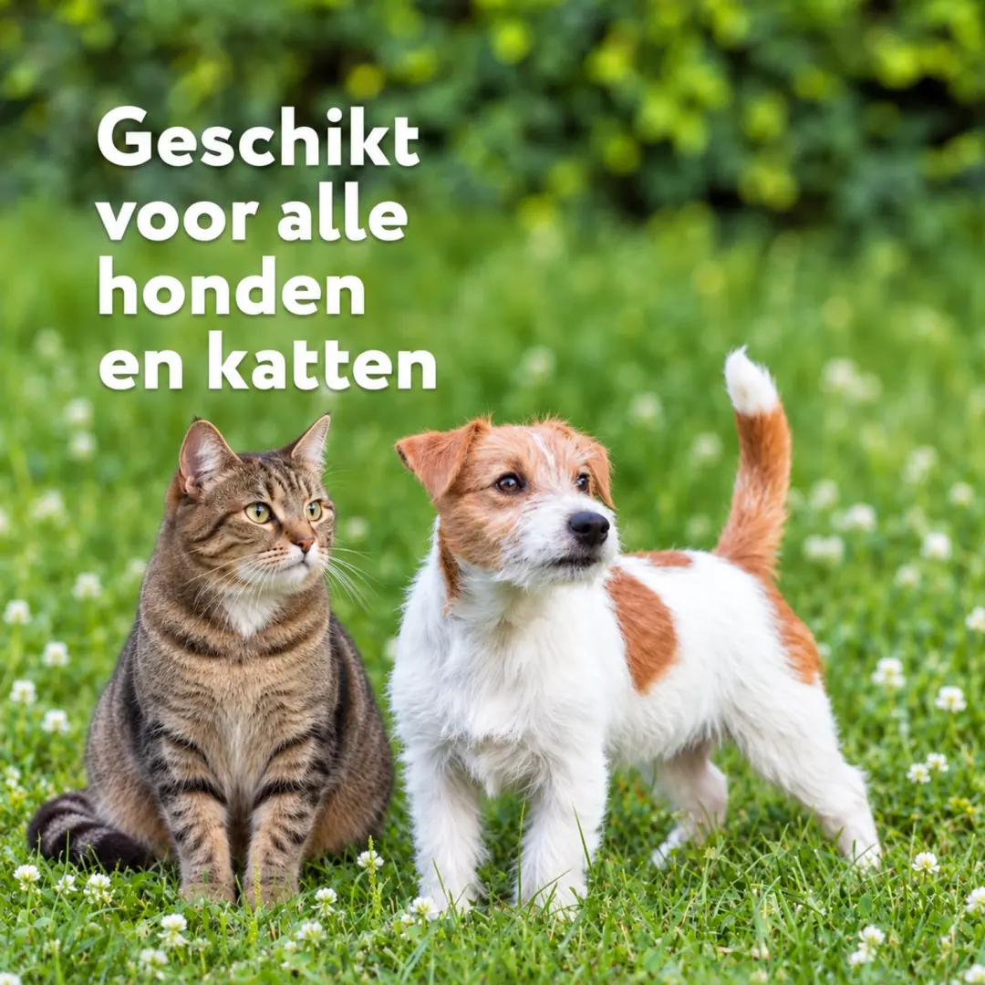 DogSuppy Honingzalf 125ml - afbeelding 6 van 6