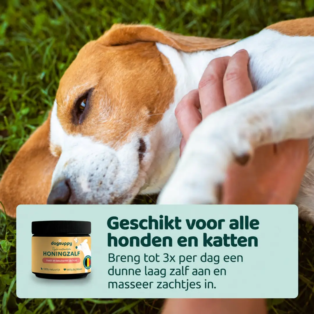 DogSuppy Honingzalf 125ml - afbeelding 4 van 6