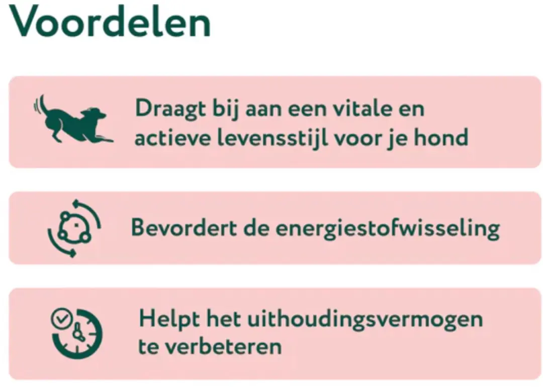 DogSuppy Gezond Gewicht Support 100ml - afbeelding 5 van 6