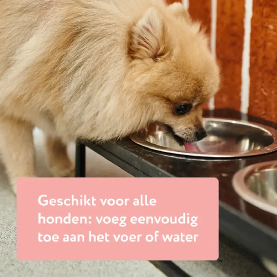 DogSuppy Gezond Gewicht Support 100ml - afbeelding 4 van 6