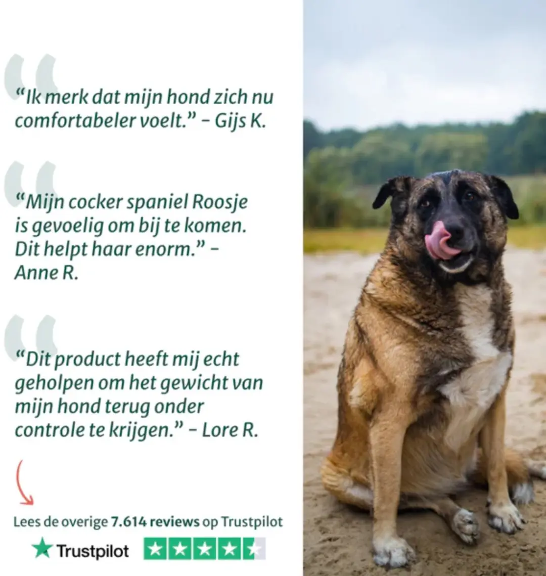 DogSuppy Gezond Gewicht Support 100ml - afbeelding 3 van 6