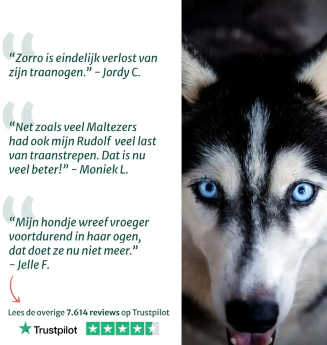 DogSuppy Oogdruppels & Traansmeerverwijderaar - 100ml - afbeelding 5 van 6