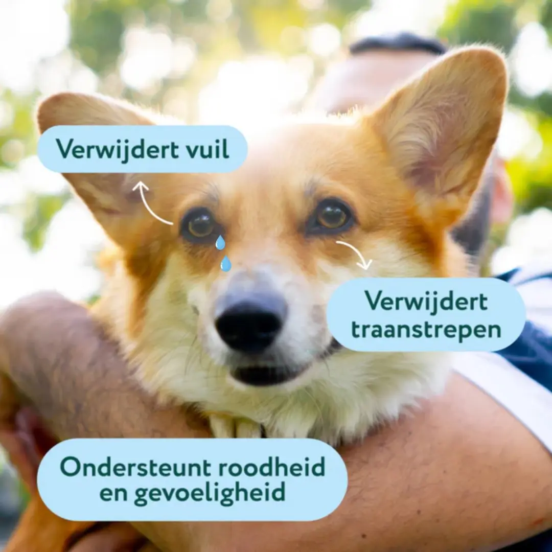 DogSuppy Oogdruppels & Traansmeerverwijderaar - 100ml - afbeelding 2 van 6