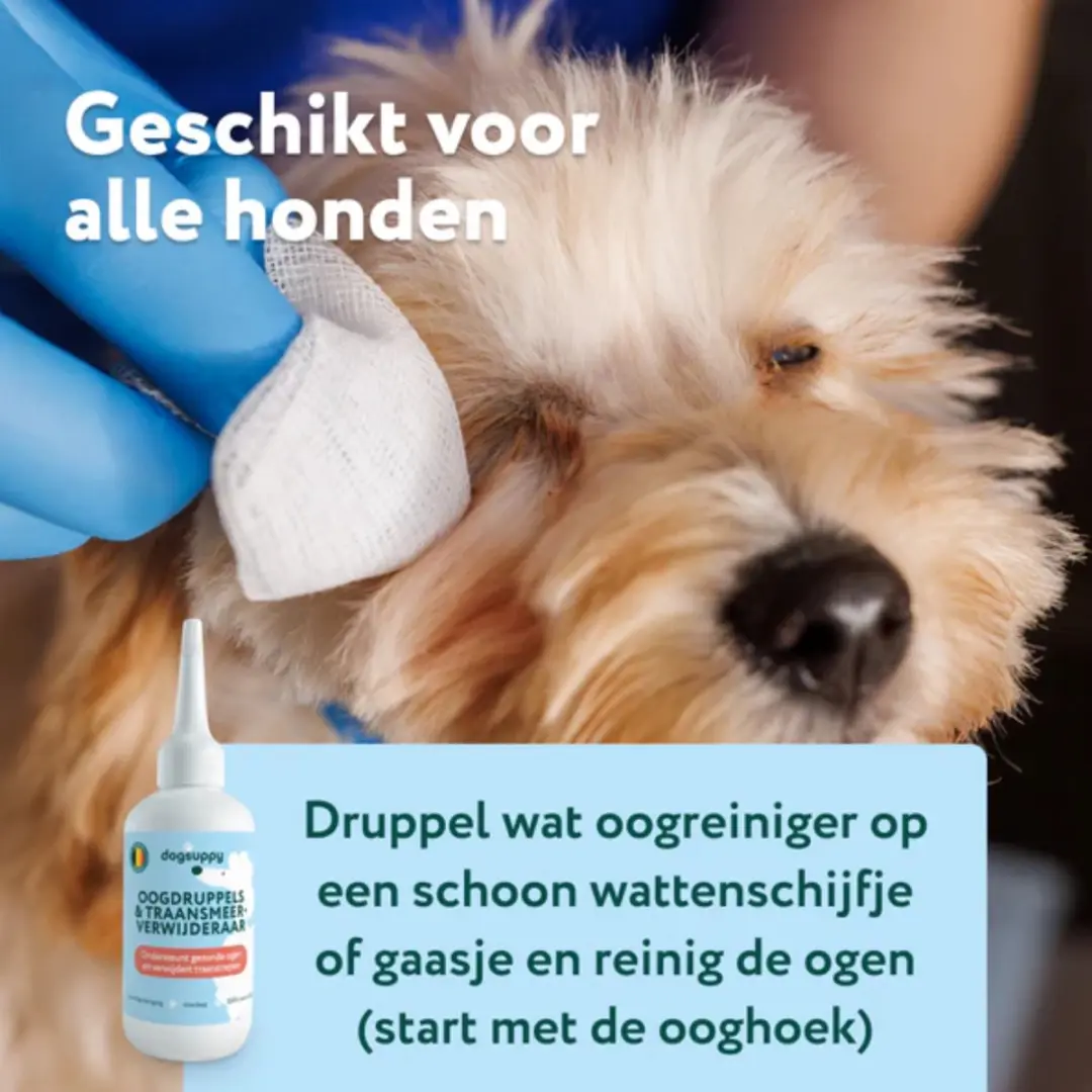 DogSuppy Oogdruppels & Traansmeerverwijderaar - 100ml - afbeelding 6 van 6