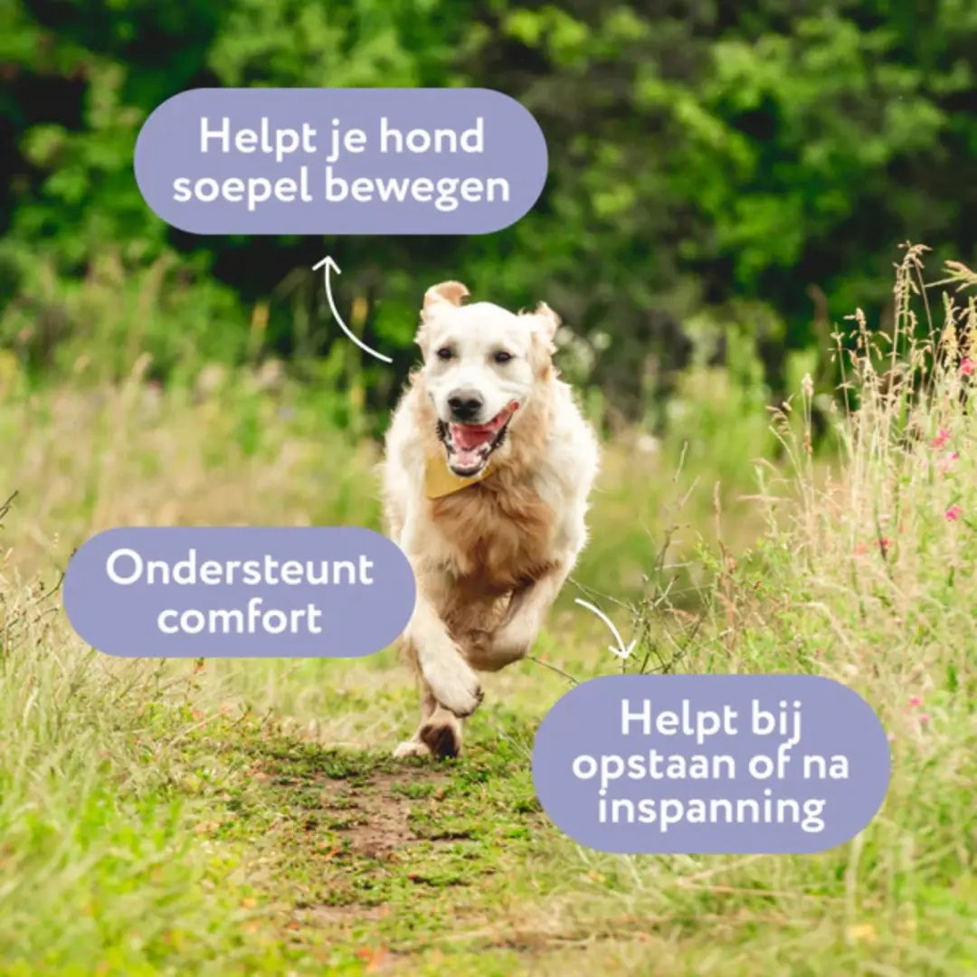 DogSuppy Silicium Boost Spray 250ml - afbeelding 2 van 6