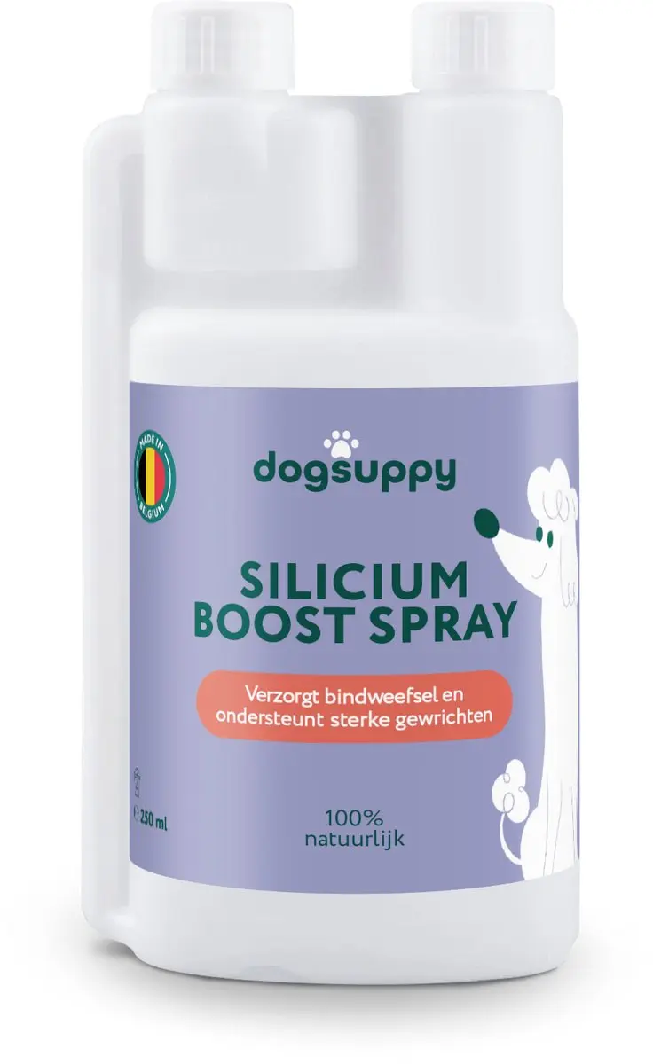 DogSuppy Silicium Boost Spray 250ml