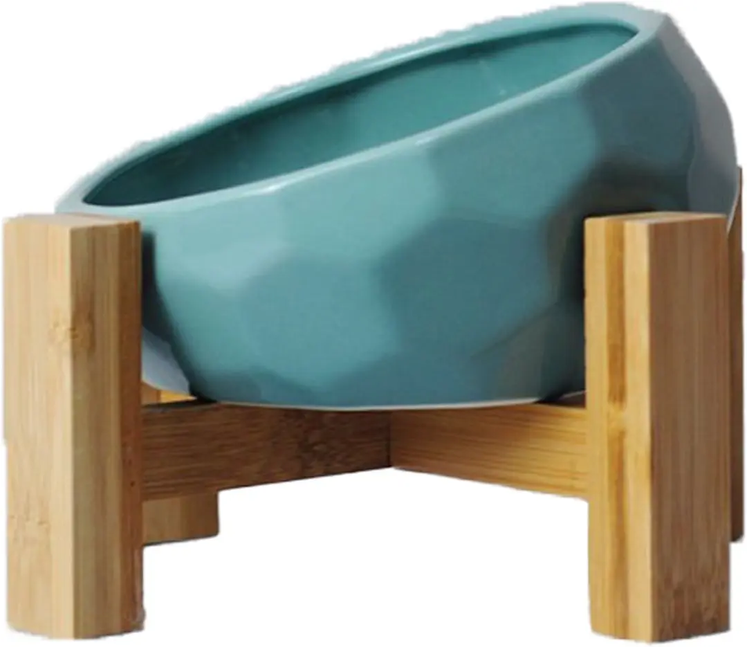 Ergonomische voerbak kat