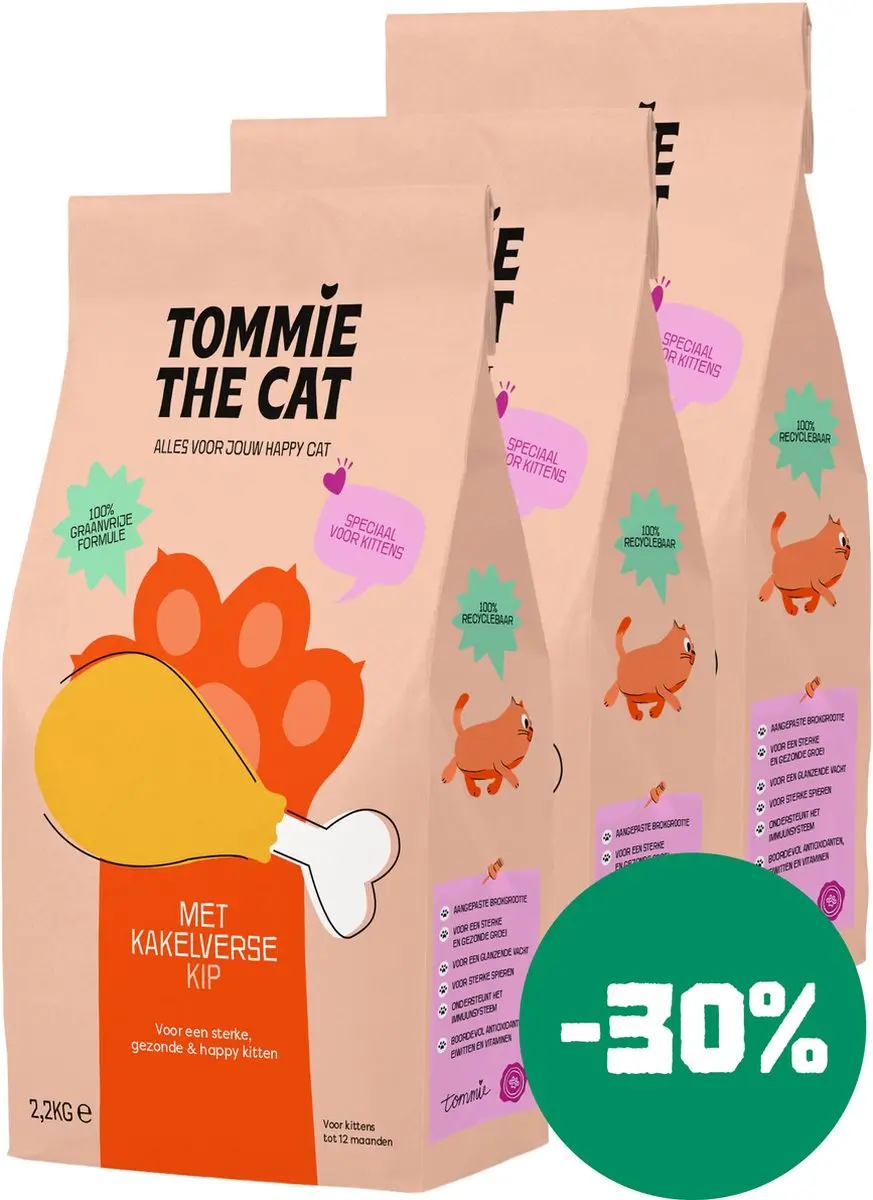 Tommie the Cat
