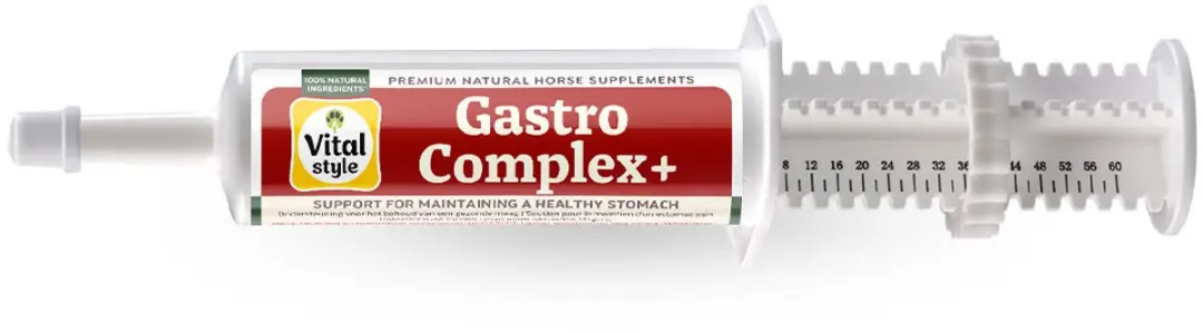 Vitalstyle GastroComplex+