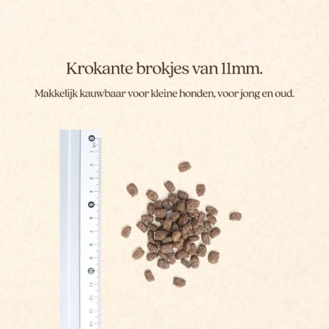 VITALstyle Senior Mini Hondenvoer - 3 kg - afbeelding 4 van 5